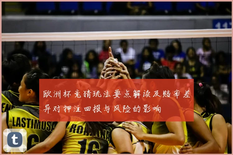 欧洲杯竞猜玩法要点解读及赔率差异对押注回报与风险的影响