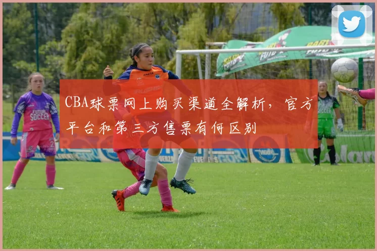 CBA球票网上购买渠道全解析，官方平台和第三方售票有何区别