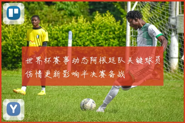 世界杯赛事动态阿根廷队关键球员伤情更新影响半决赛备战