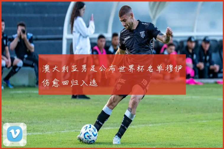 澳大利亚男足公布世界杯名单穆伊伤愈回归入选