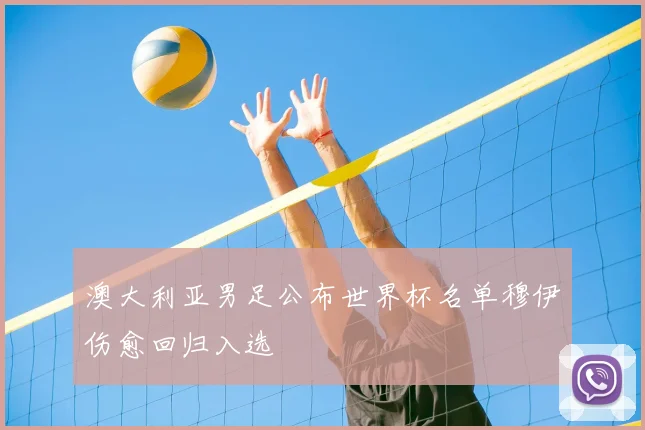 澳大利亚男足公布世界杯名单穆伊伤愈回归入选
